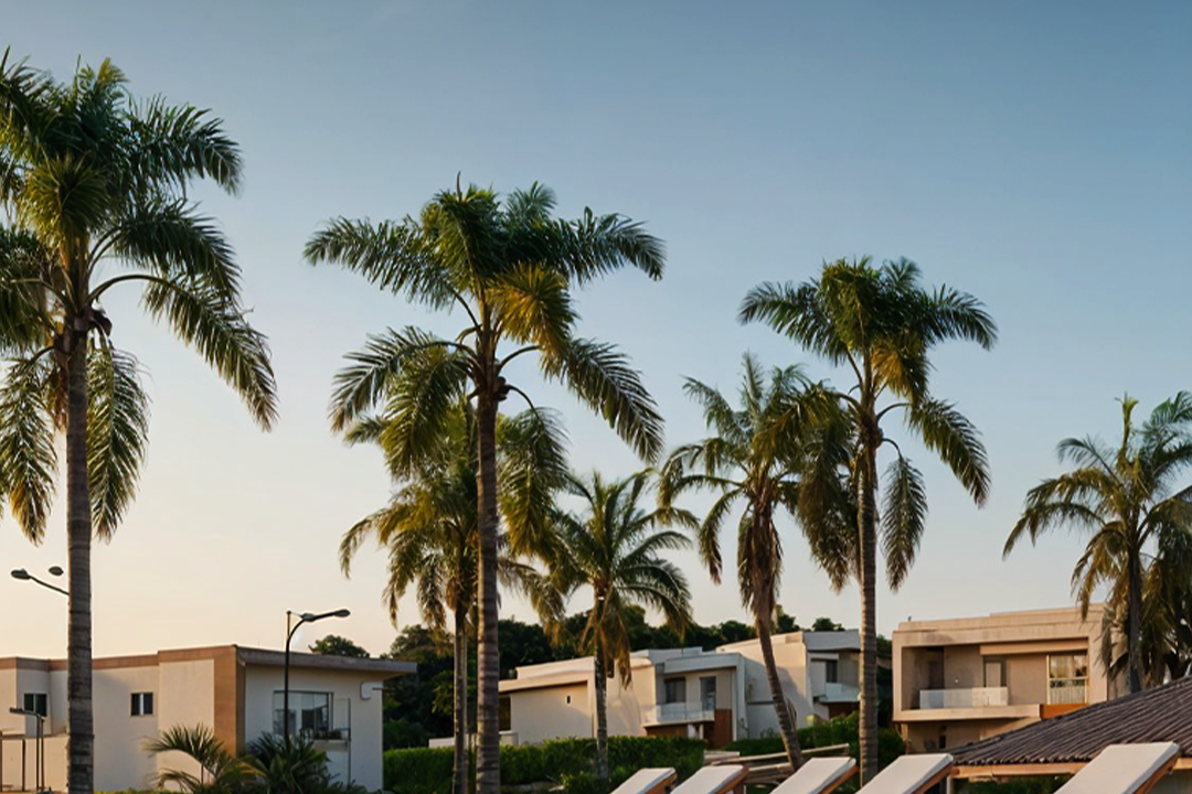 10782_Cronograma Orgânico 2ª quinzena Novembro_Amalfi _Carrossel_01_STORY