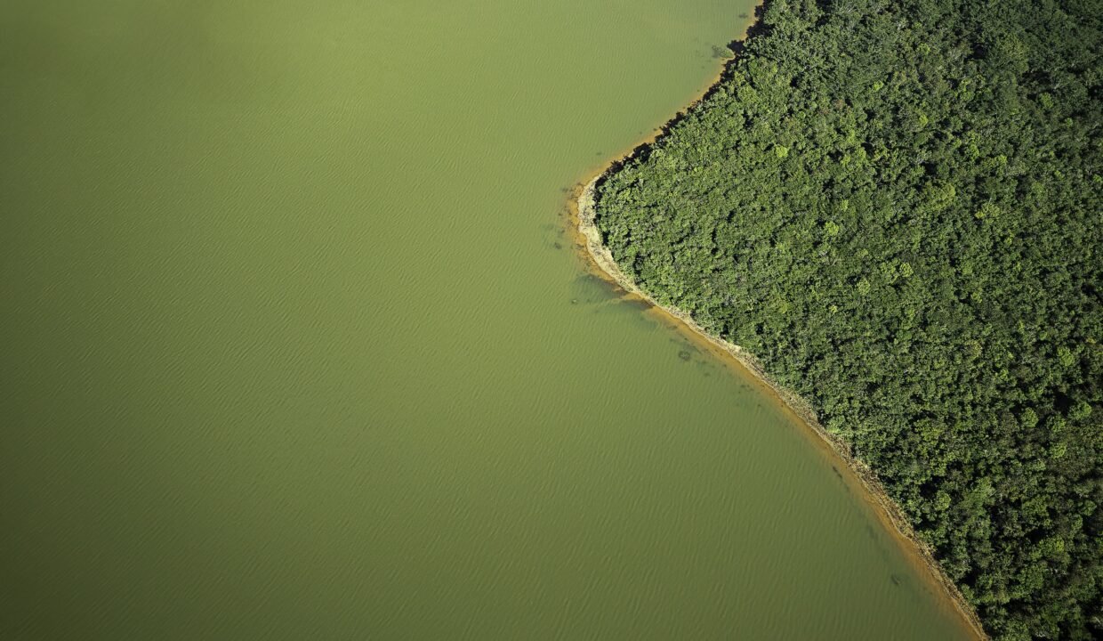 Lotes no EcoVillage (12)