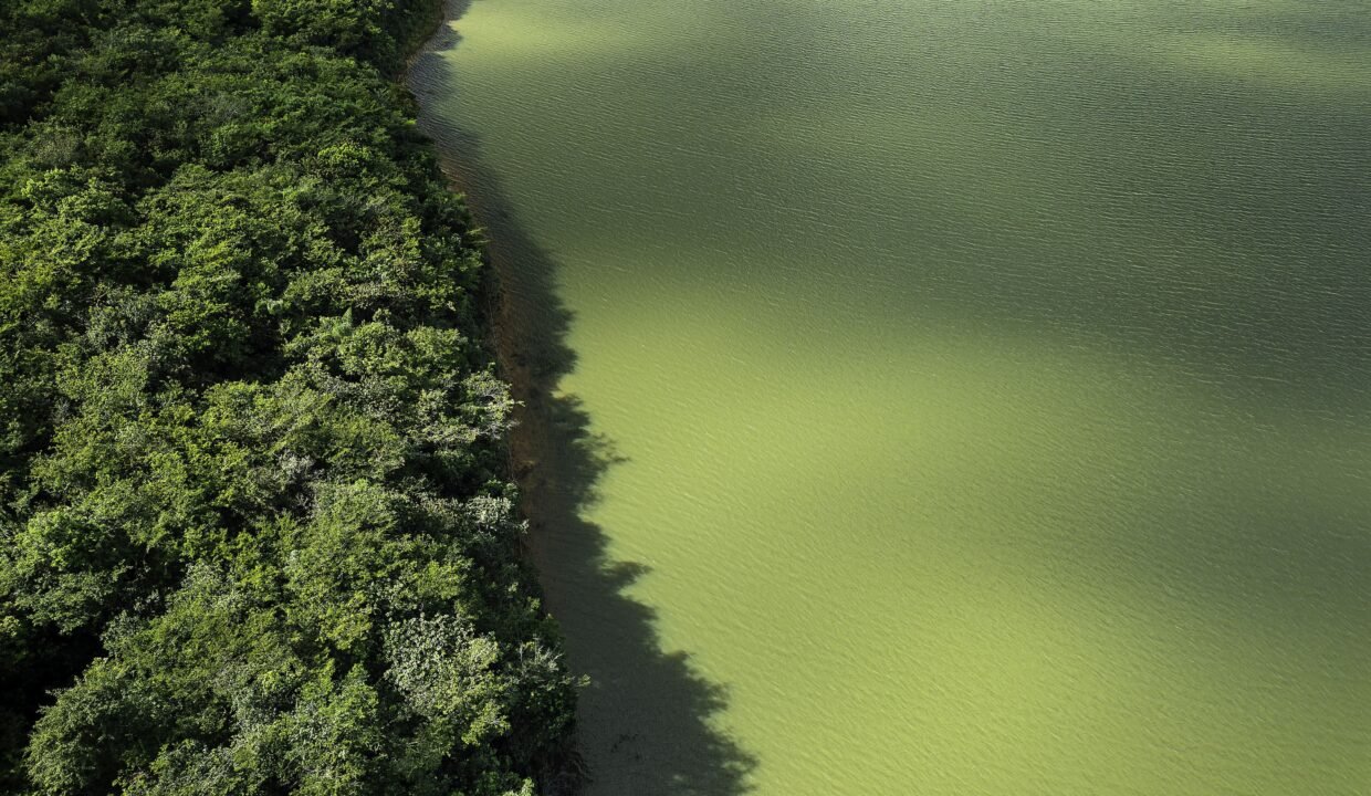 Lotes no EcoVillage (7)