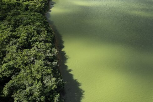 Lotes no EcoVillage (7)