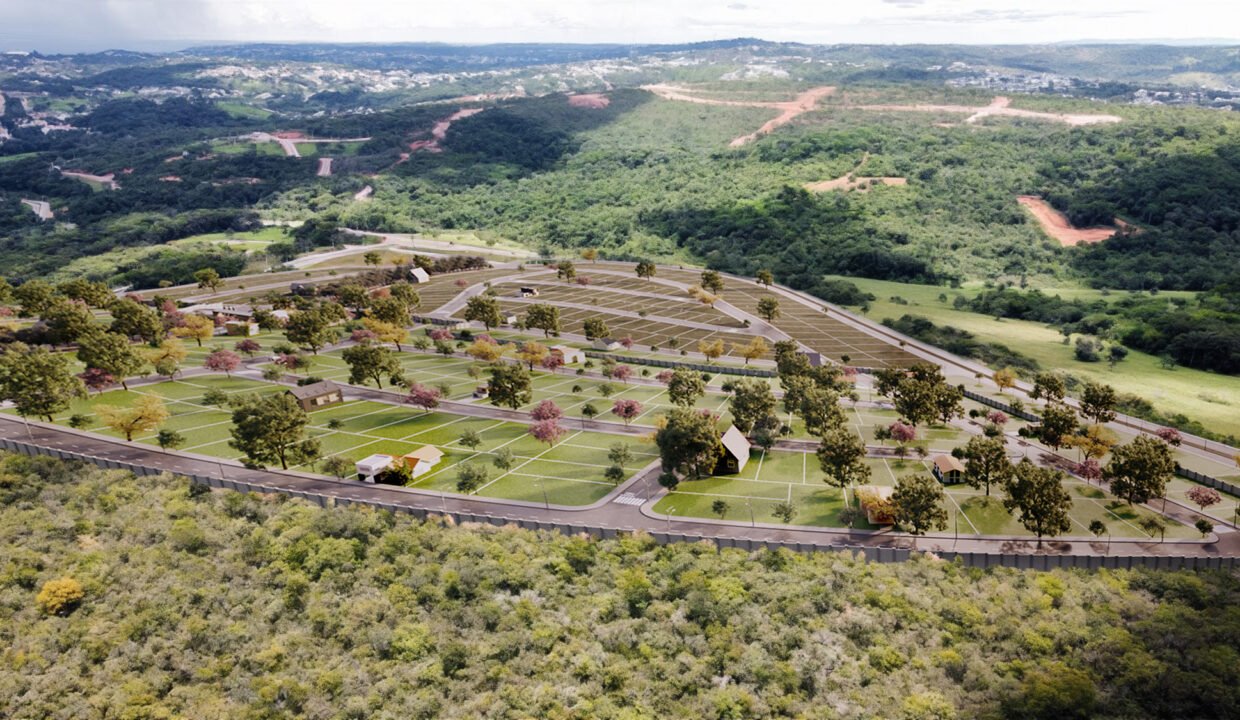 195-FDLS-AÉREA 01-R01